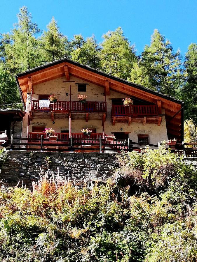 Vers Le Bois Maison d'hôtes