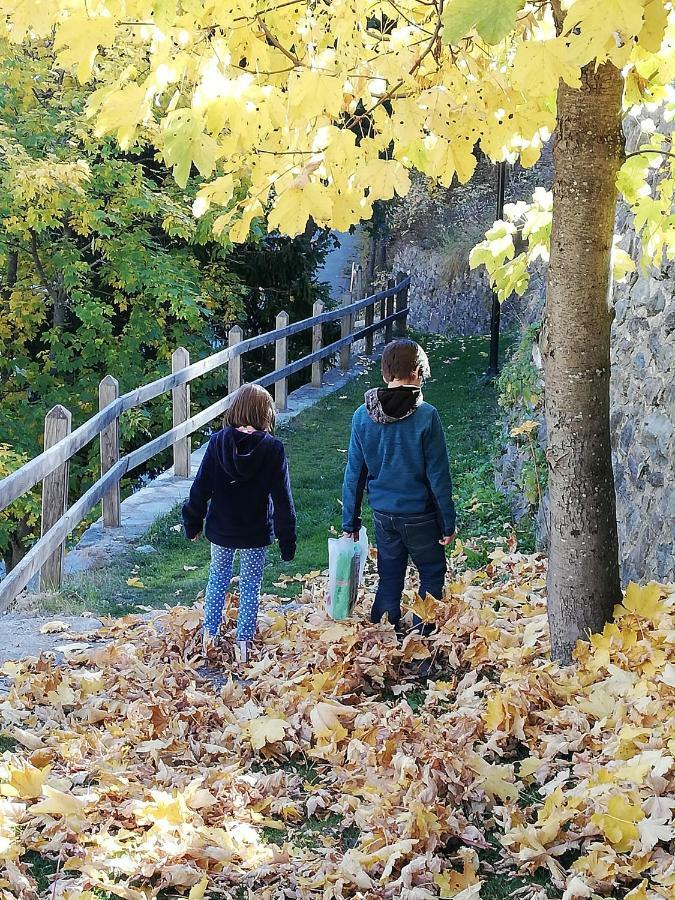 Vers Le Bois Maison d'hôtes *